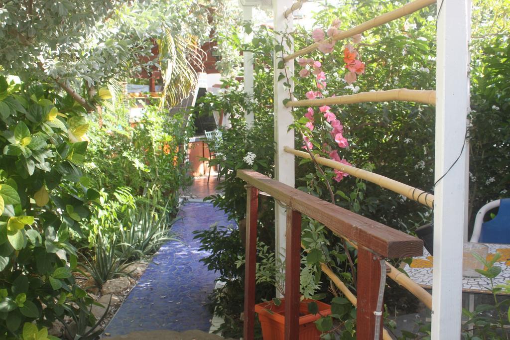 פאלם ביץ' Sunflower Villa Studios מראה חיצוני תמונה